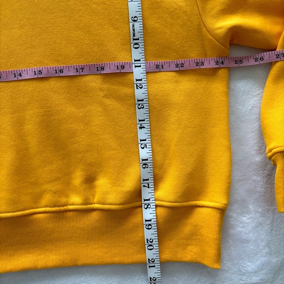 The North Face Pride Outdoors Together Hoodie--Sz L - Picture 15 of 15